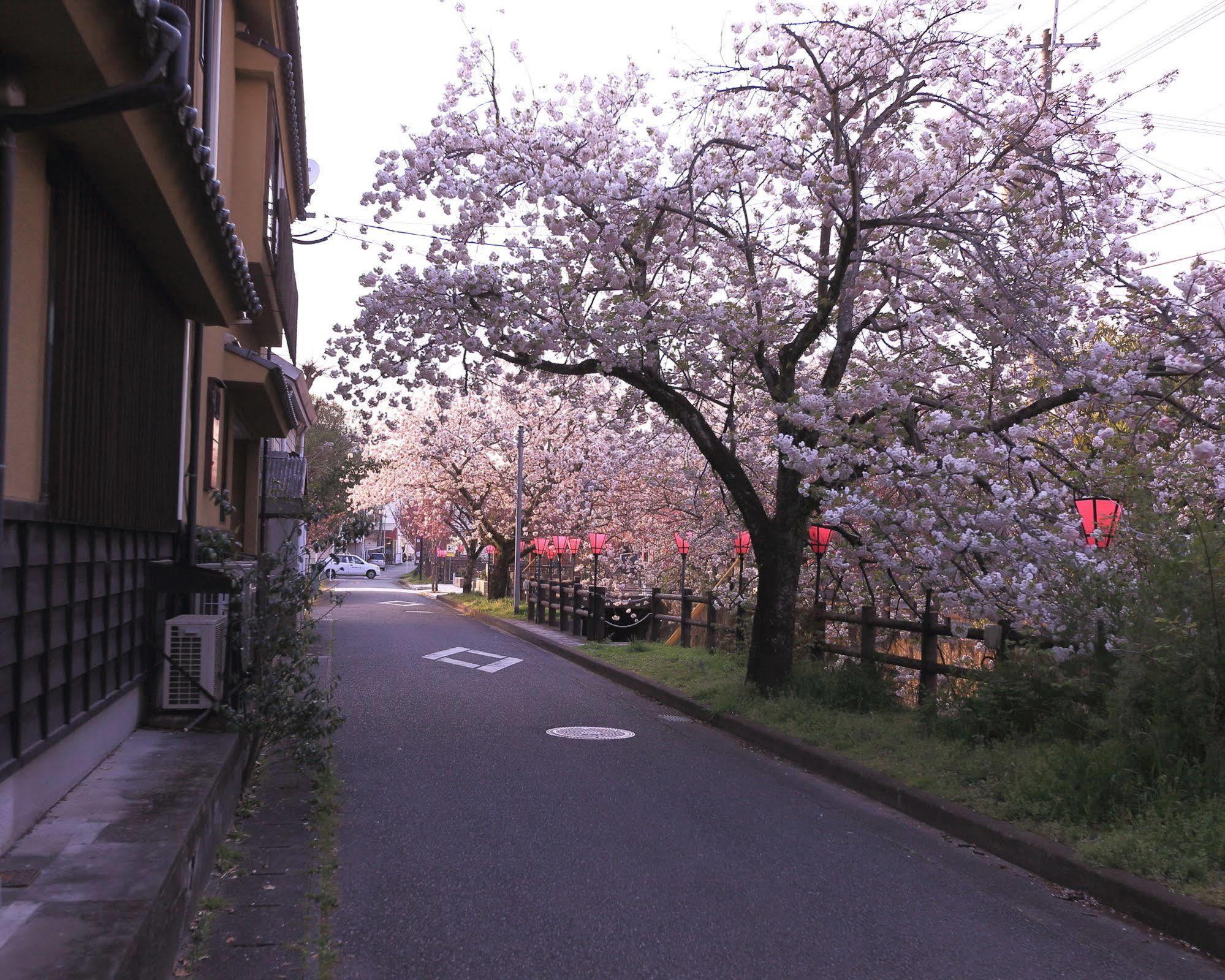 Tabi No Yado Satsuki Hotel Hita Exterior foto